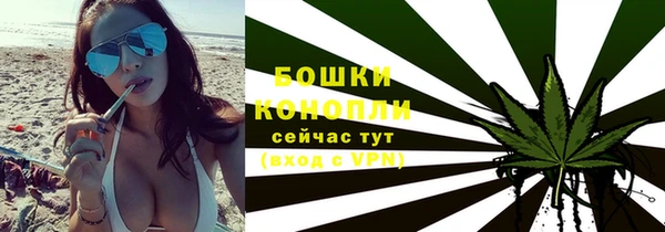 гашик Бородино
