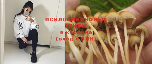 МДПВ Пролетарск