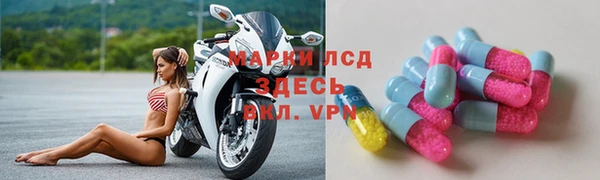гашик Бородино