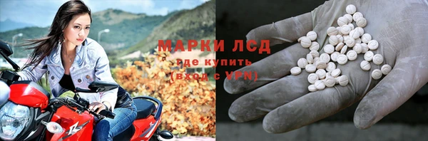 гашик Бородино