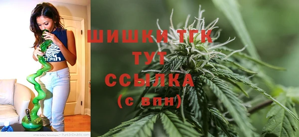 гашик Бородино