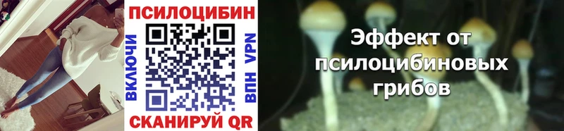 Галлюциногенные грибы мухоморы Ясный