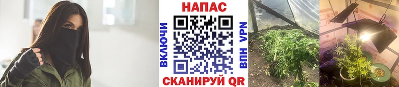 OMG ССЫЛКА Ясный Шишки марихуана семена сколько стоит